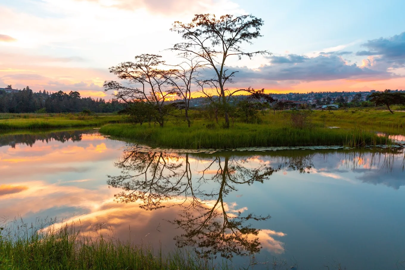 Nyandungu Eco Park